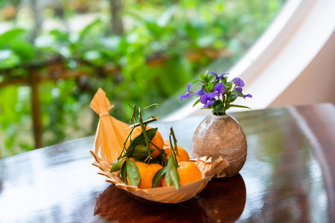 קאן טו Binh Minh Eco Lodge מראה חיצוני תמונה